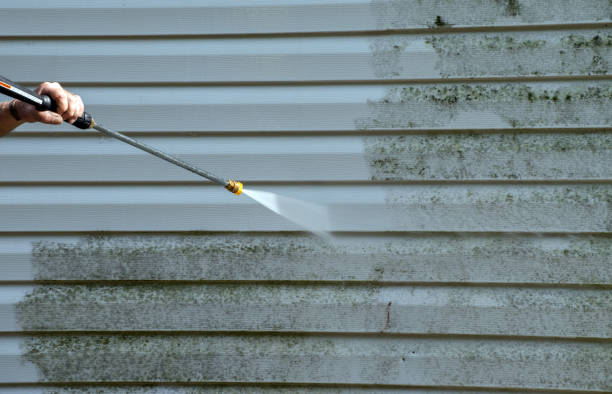 Best Pressure Washing Contractors  in Woodlake, CA